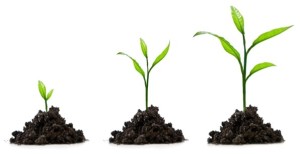 Spiritual Growth
